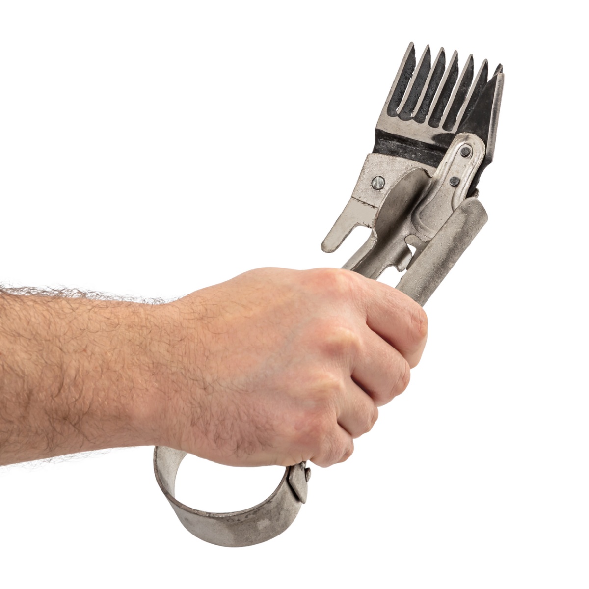 Foarfecă de tuns oi, 25 cm