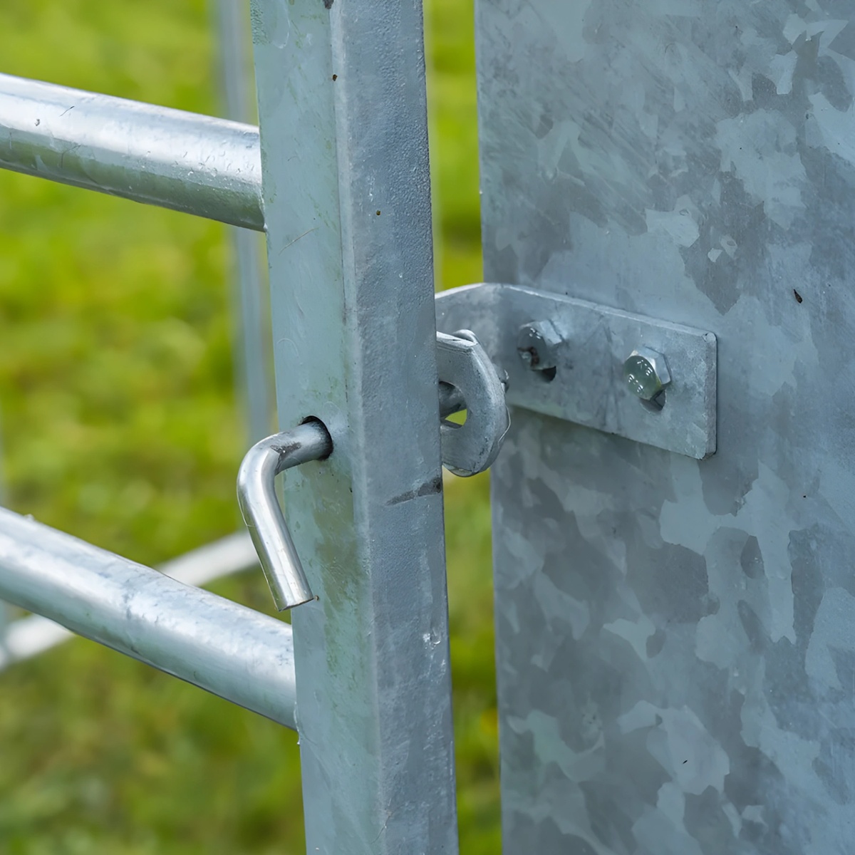 Hrănitoare concentrat pentru viței, cu gard de protecție reglabil, 900 litri