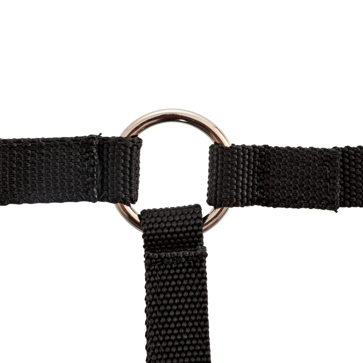 Căpăstru pentru alpaca, negru