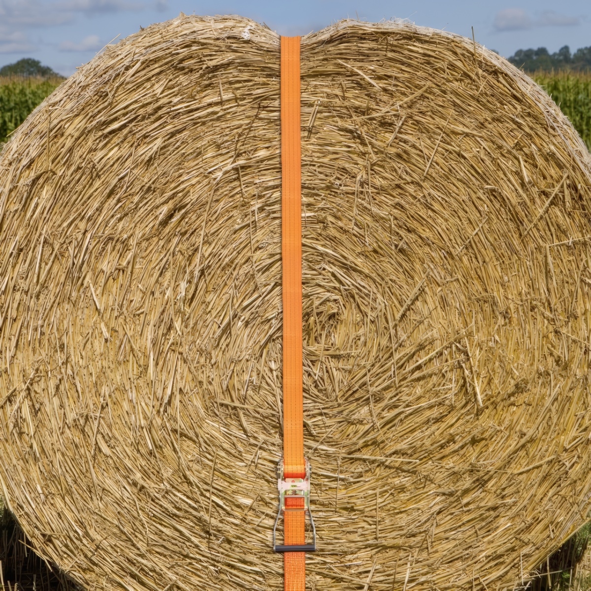 Chingă de ancoraj cu clichet, portocaliu, 4000 kg, 50 mm × 10 m