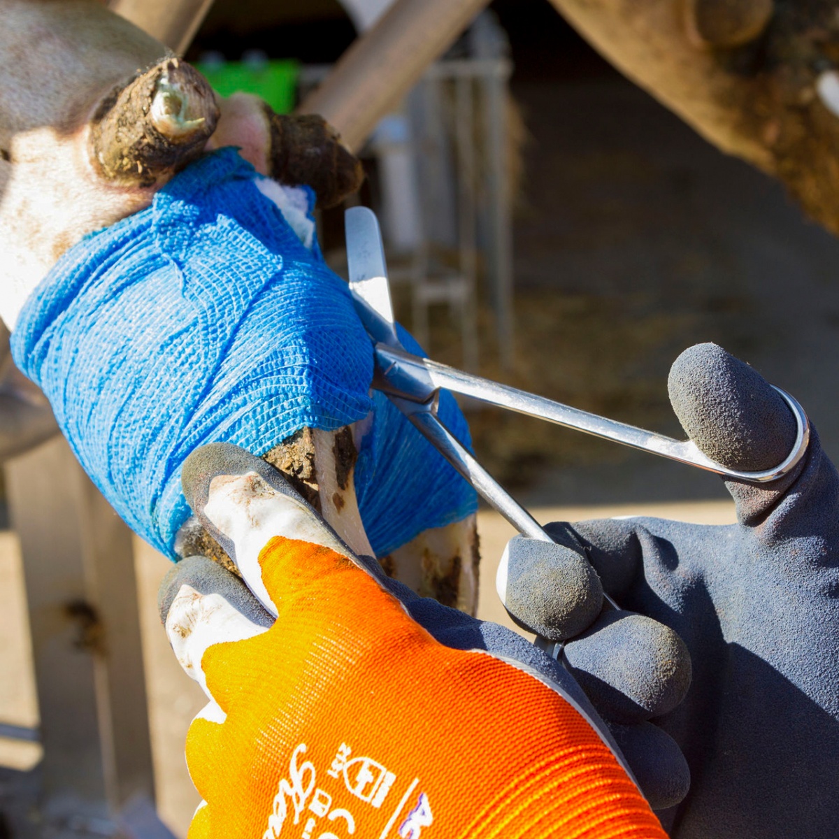 Foarfecă de tăiat bandaje, inox, 200 mm