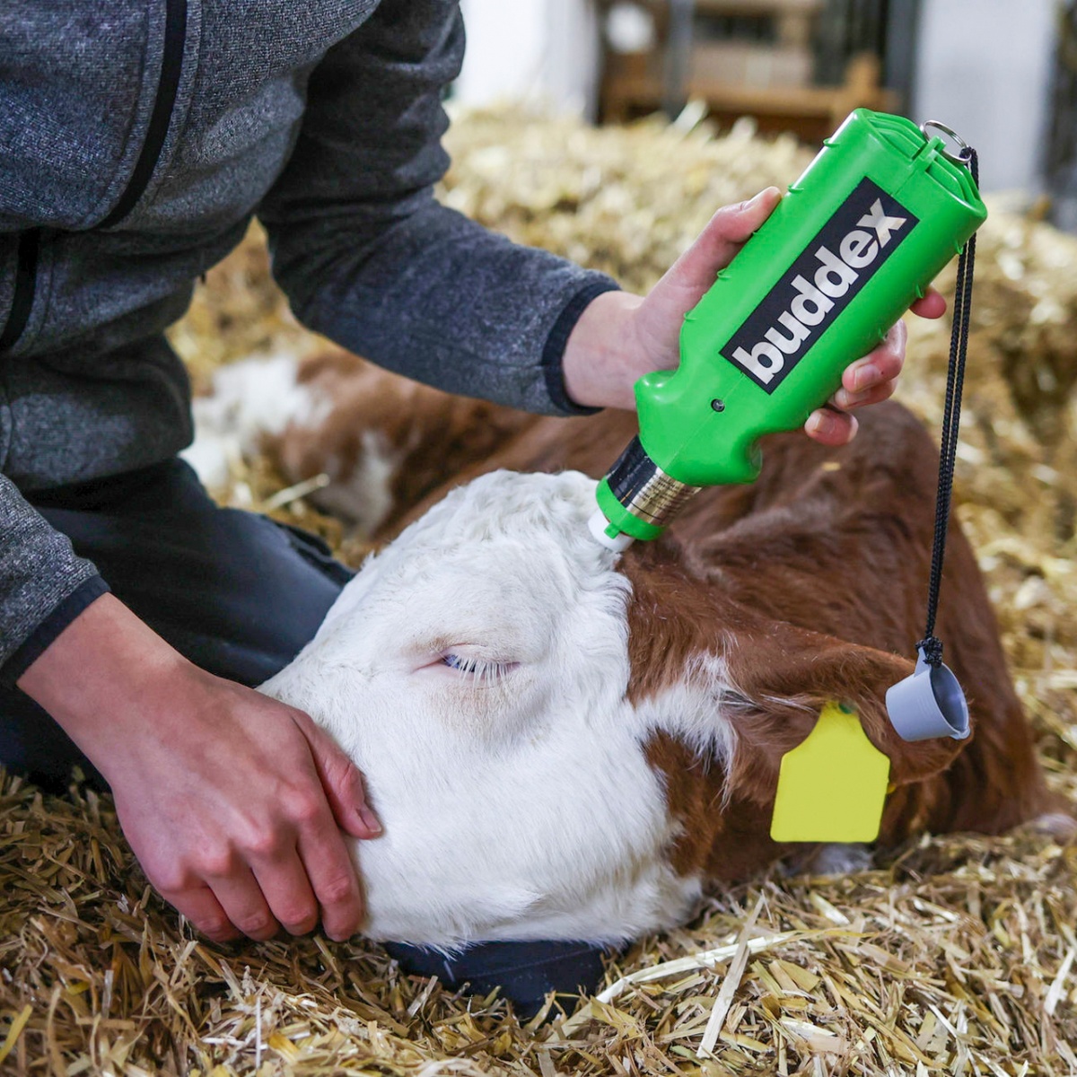 Ecornator cu acumulator, Buddex