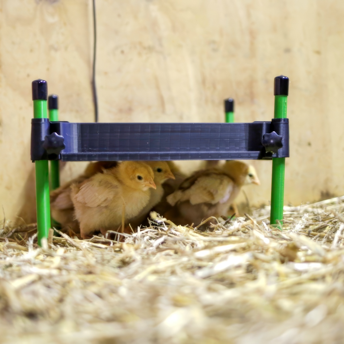 Placă de încălzire pentru pui, CosyHeat, 30 × 30 cm