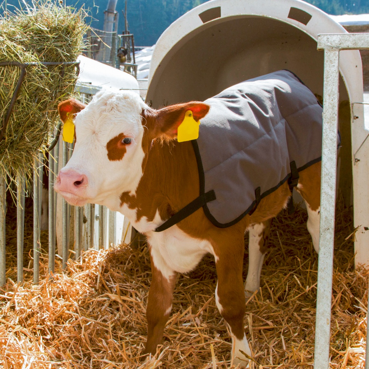 Pătură pentru viței, impermeabilă, gri, 80 × 70 cm