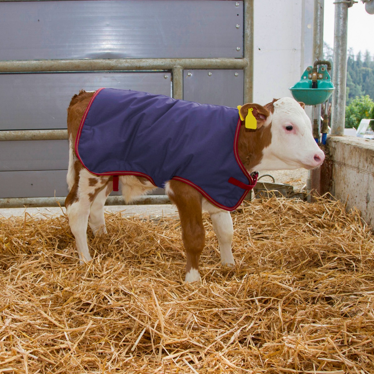 Pătură pentru viței, impermeabilă, ThermoPlus, albastru închis, 70 × 70 cm