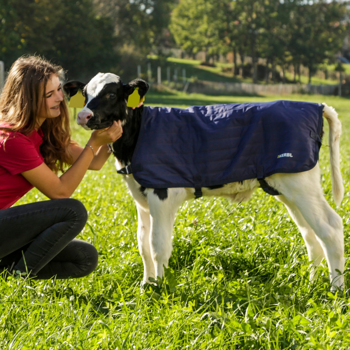 Pătură pentru viței, impermeabilă, EasyWear, albastru închis, 80 × 70 cm