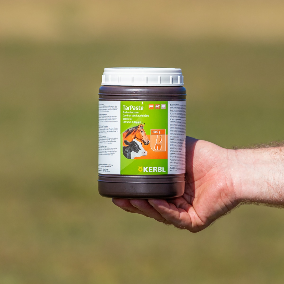 Pastă de gudron de fag, TarPaste, 1 kg