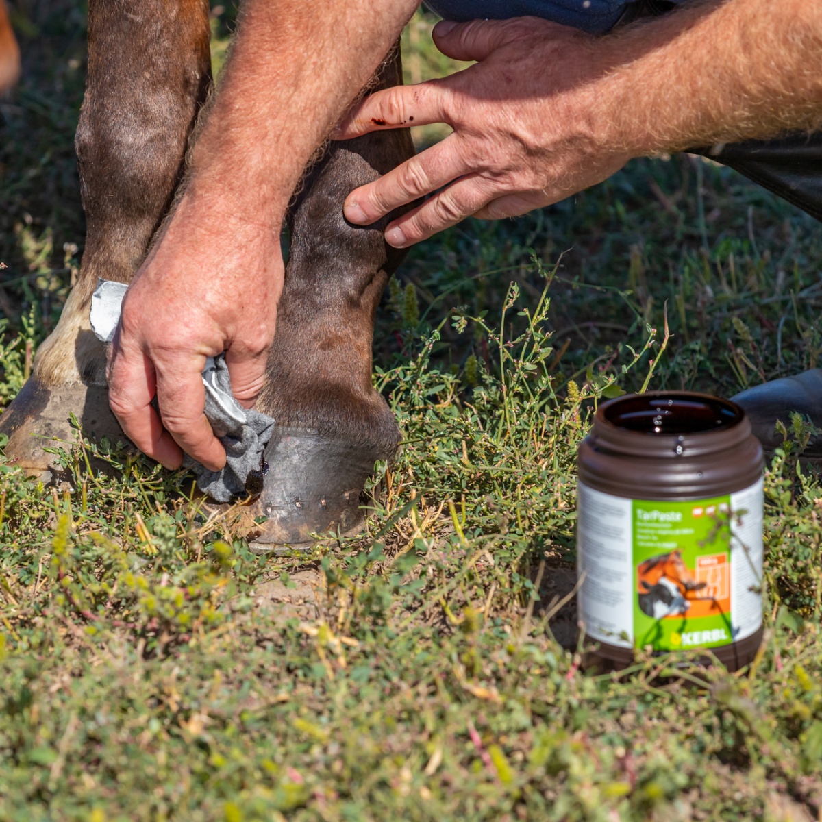 Pastă de gudron de fag, TarPaste, 1 kg