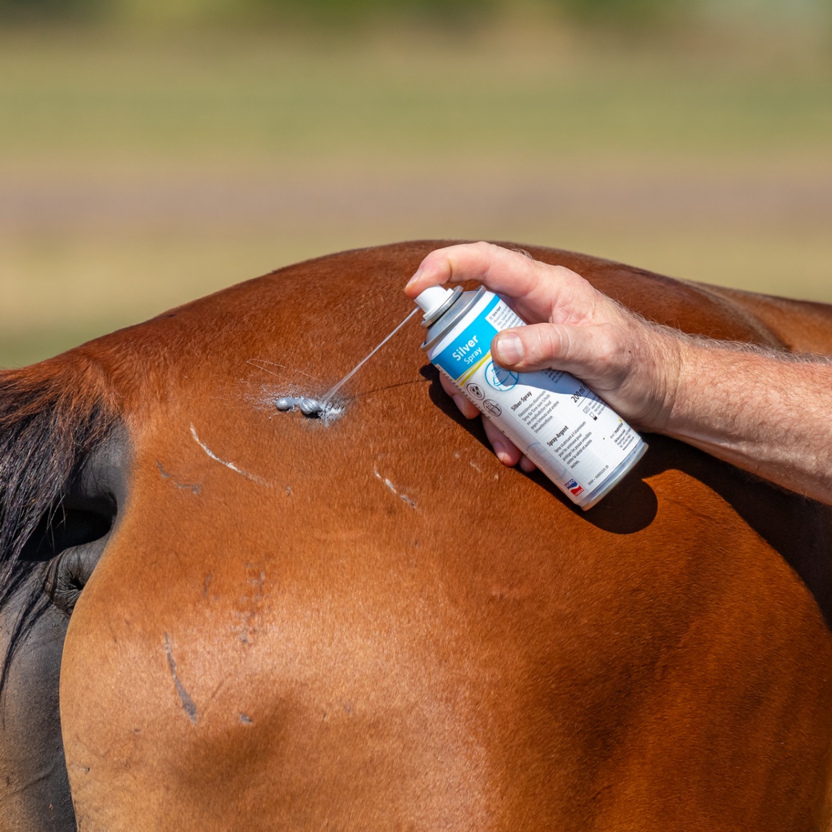 Spray argintiu pentru protecția rănilor minore sau leziunilor, 200 ml