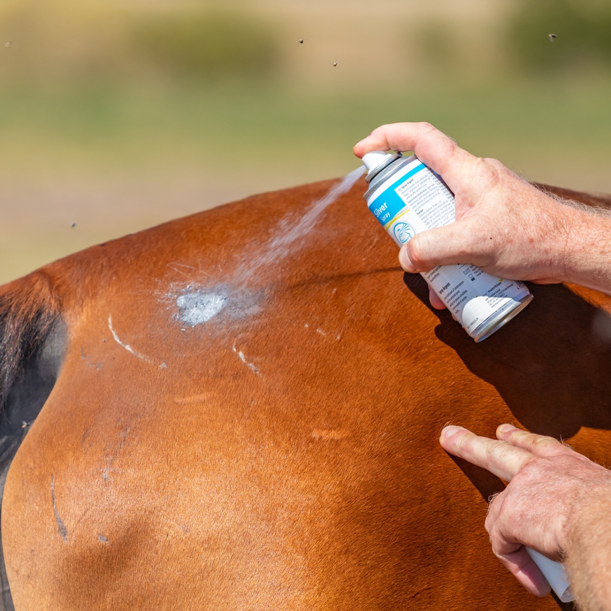 Spray argintiu pentru protecția rănilor minore sau leziunilor, 200 ml