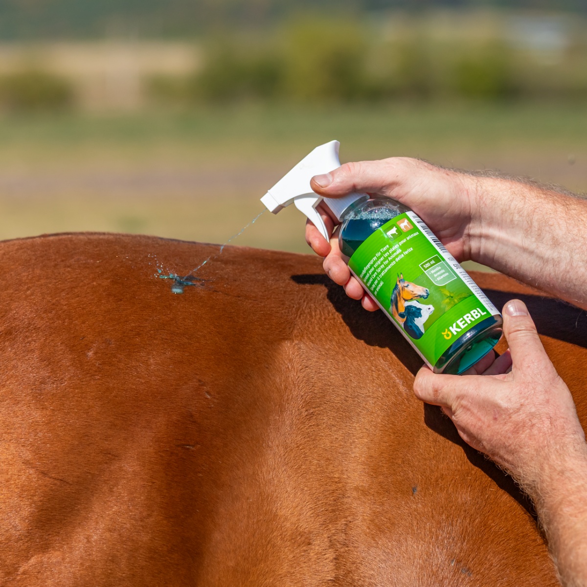 Spray pentru îngrijirea rănilor, Kerbl, 500 ml