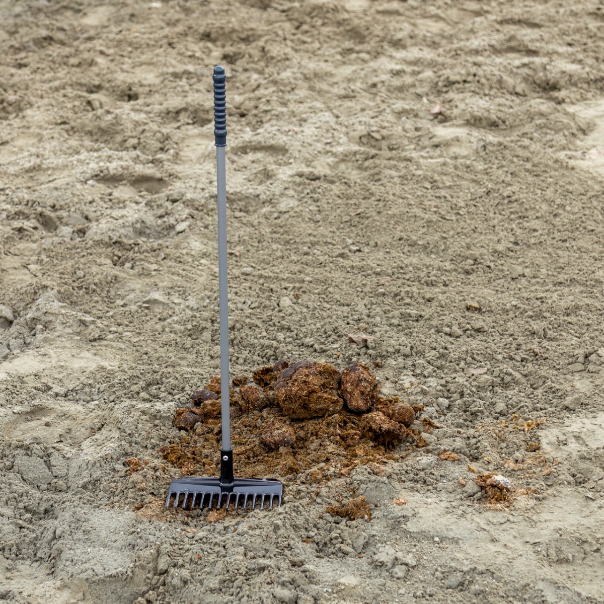 Greblă pentru curățare bălegar, Mistboy, negru, 75 cm