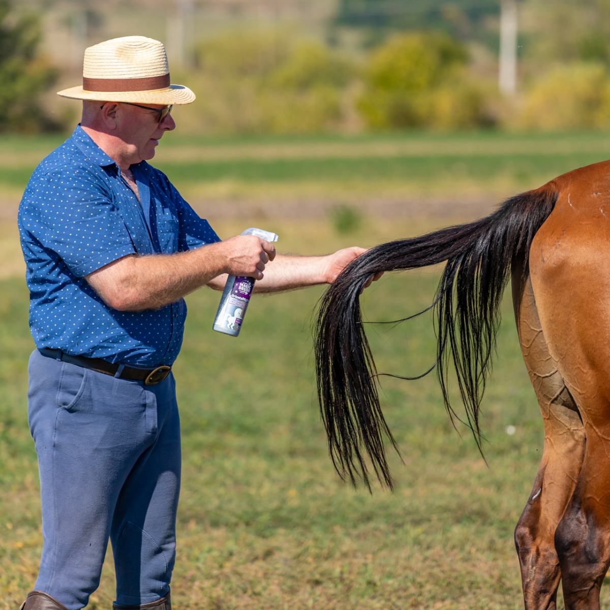 Spray pentru îngrijirea coamei, aromă OrientalNights, MagicBrush, 500 ml