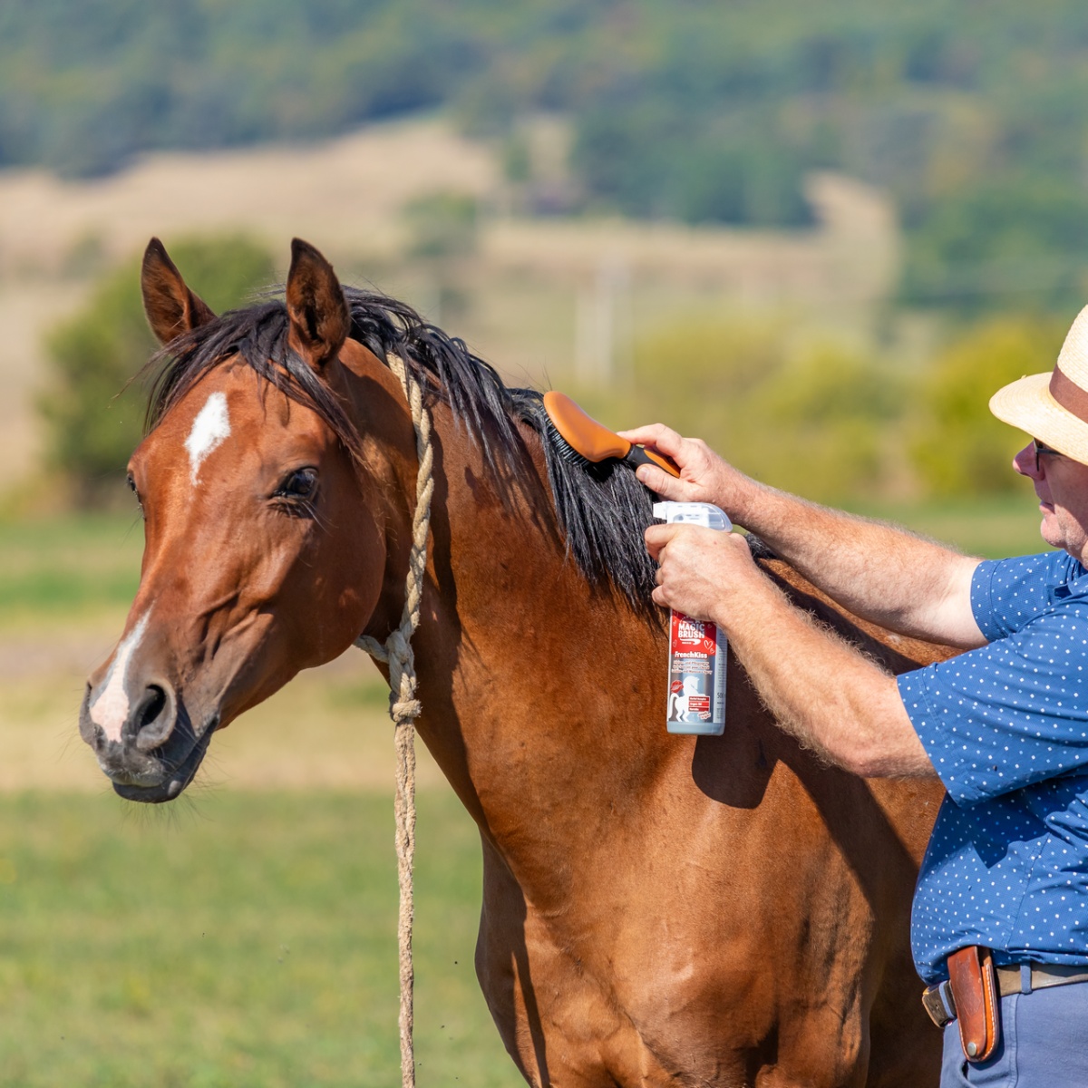 Spray pentru îngrijirea coamei, aromă FrenchKiss, MagicBrush, 500 ml