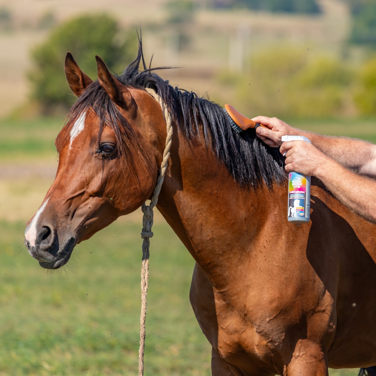 Spray pentru îngrijirea coamei, aromă FruitExplosion, MagicBrush, 500 ml