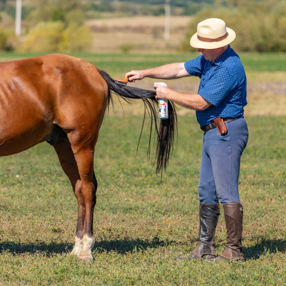 Spray pentru îngrijirea coamei, aromă FruitExplosion, MagicBrush, 500 ml