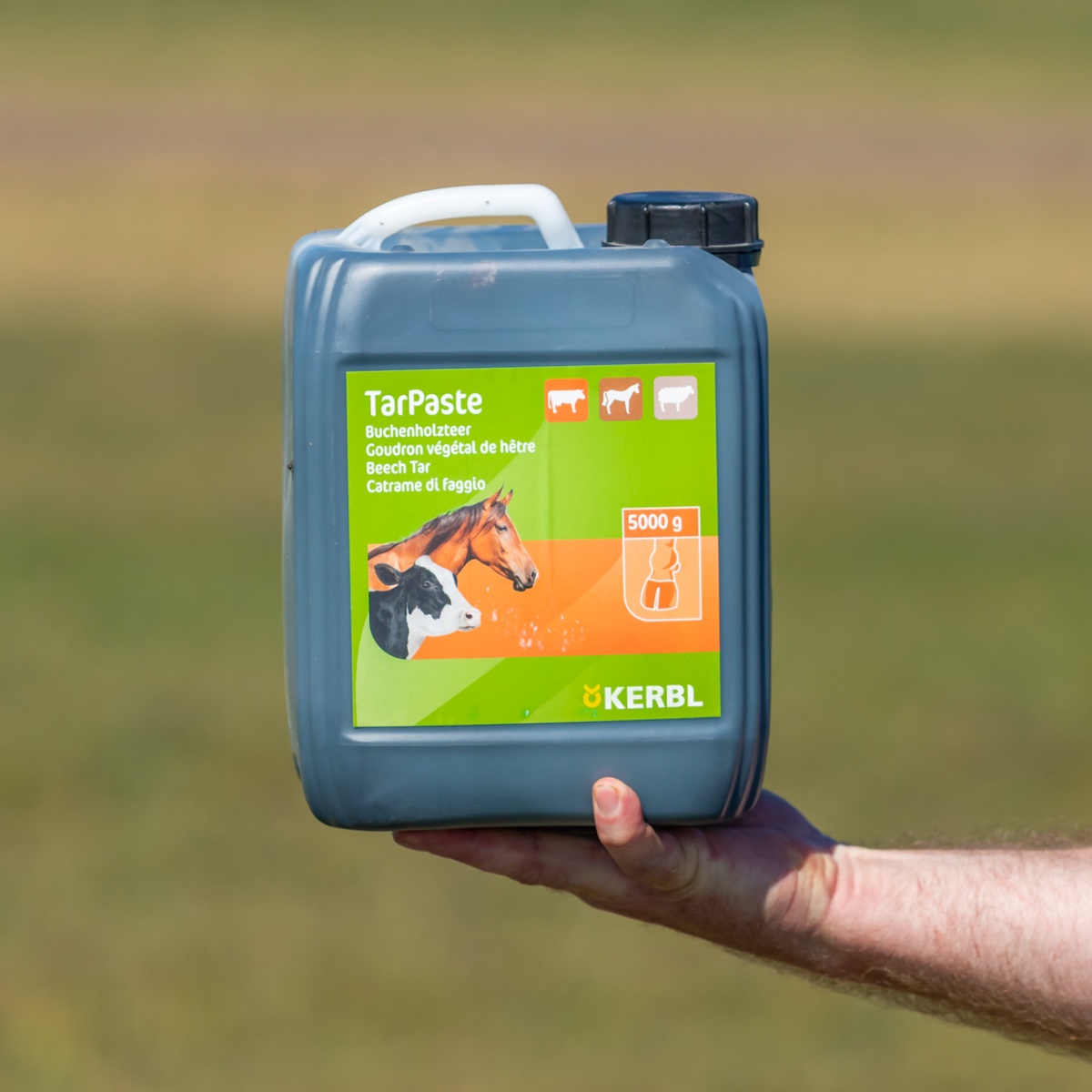 Pastă de gudron de fag, TarPaste, 5 kg