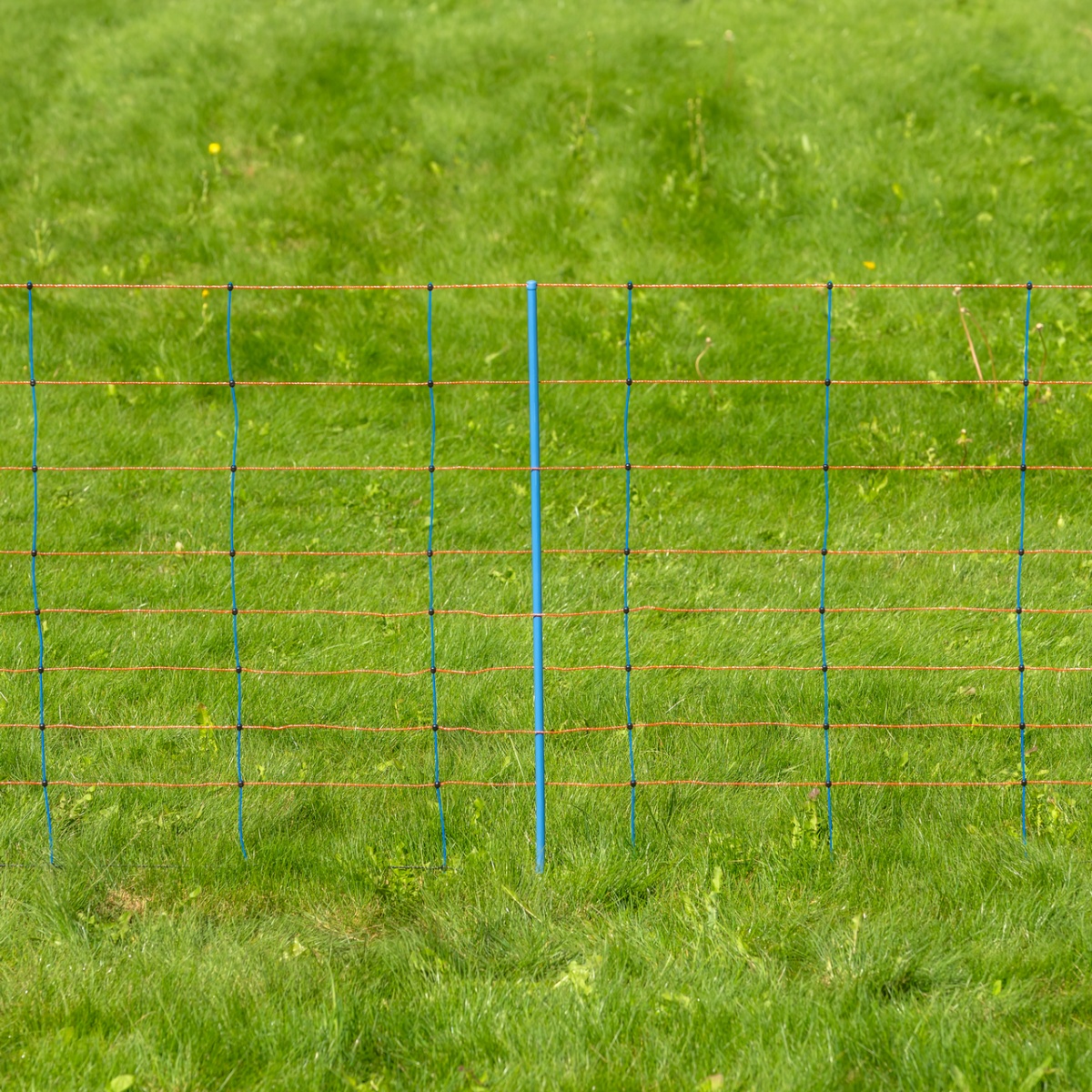 Plasă gard electric, TitanNet Premium, 50 m × 90 cm