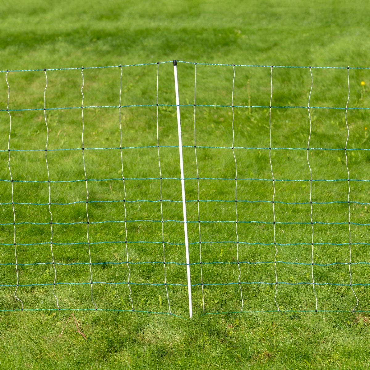 Plasă gard electric, OviNet Maxi, 50 m × 122 cm