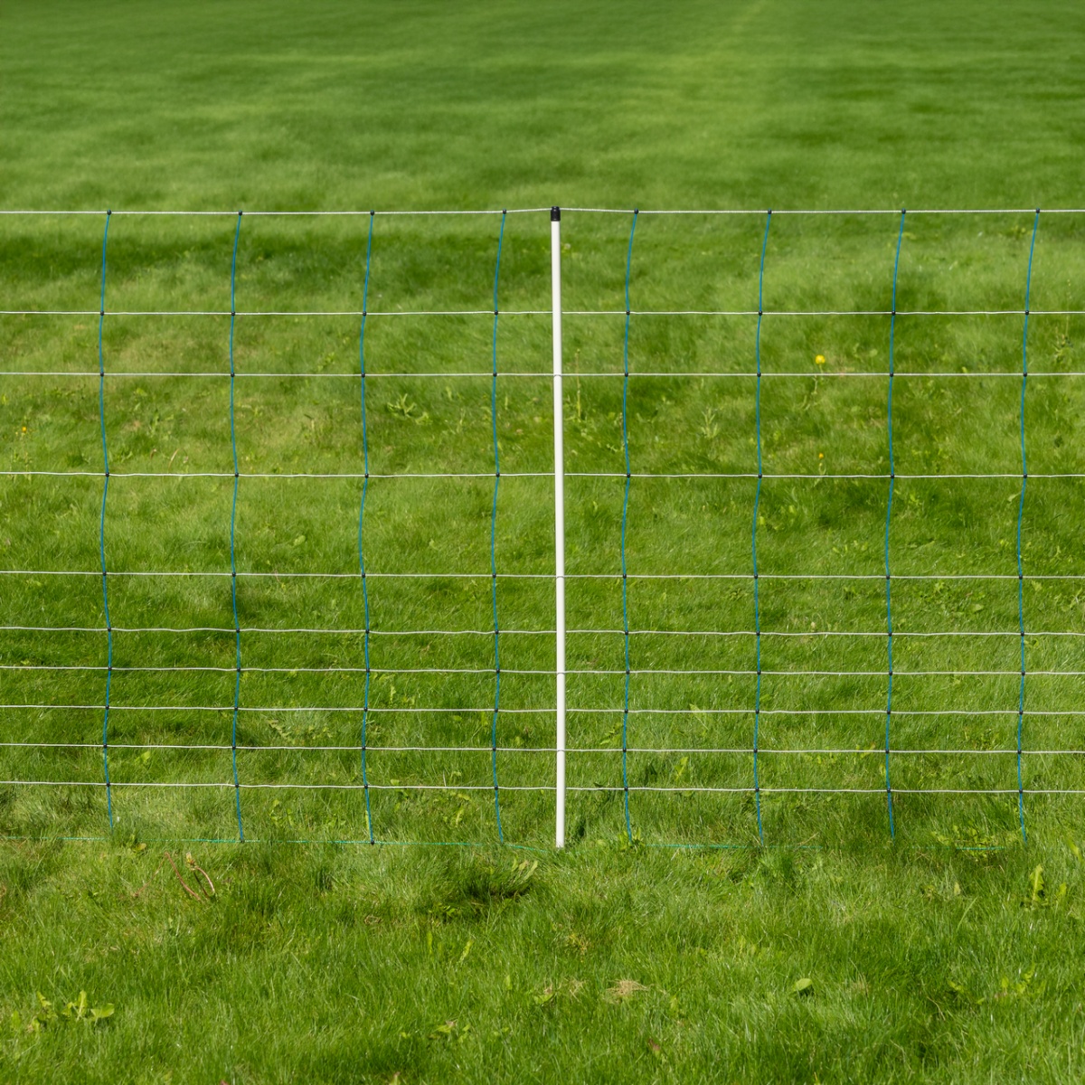 Plasă gard electric, TitanNet, 50 m × 145 cm