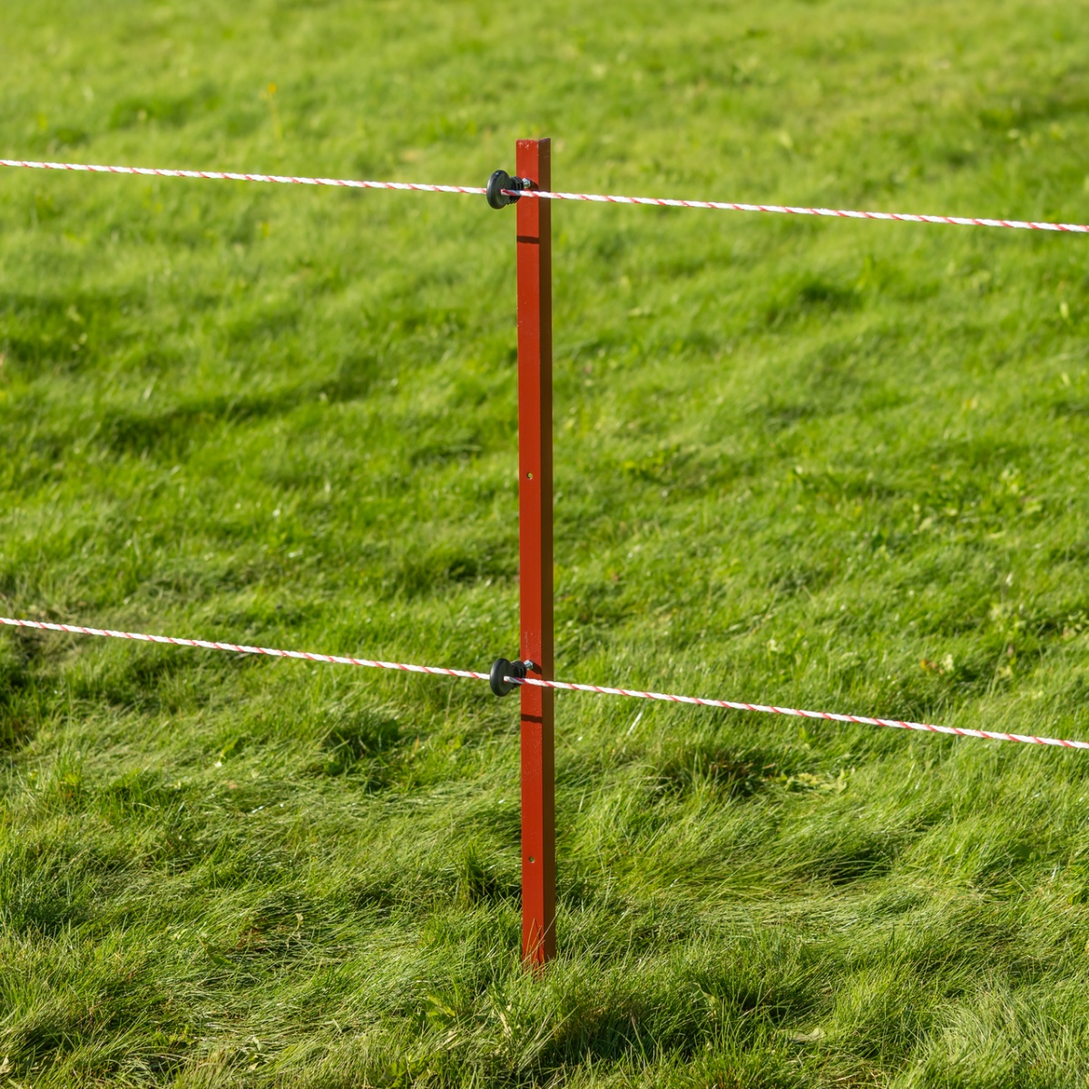 Stâlp din oțel cornier 25 × 25 mm, 115 cm