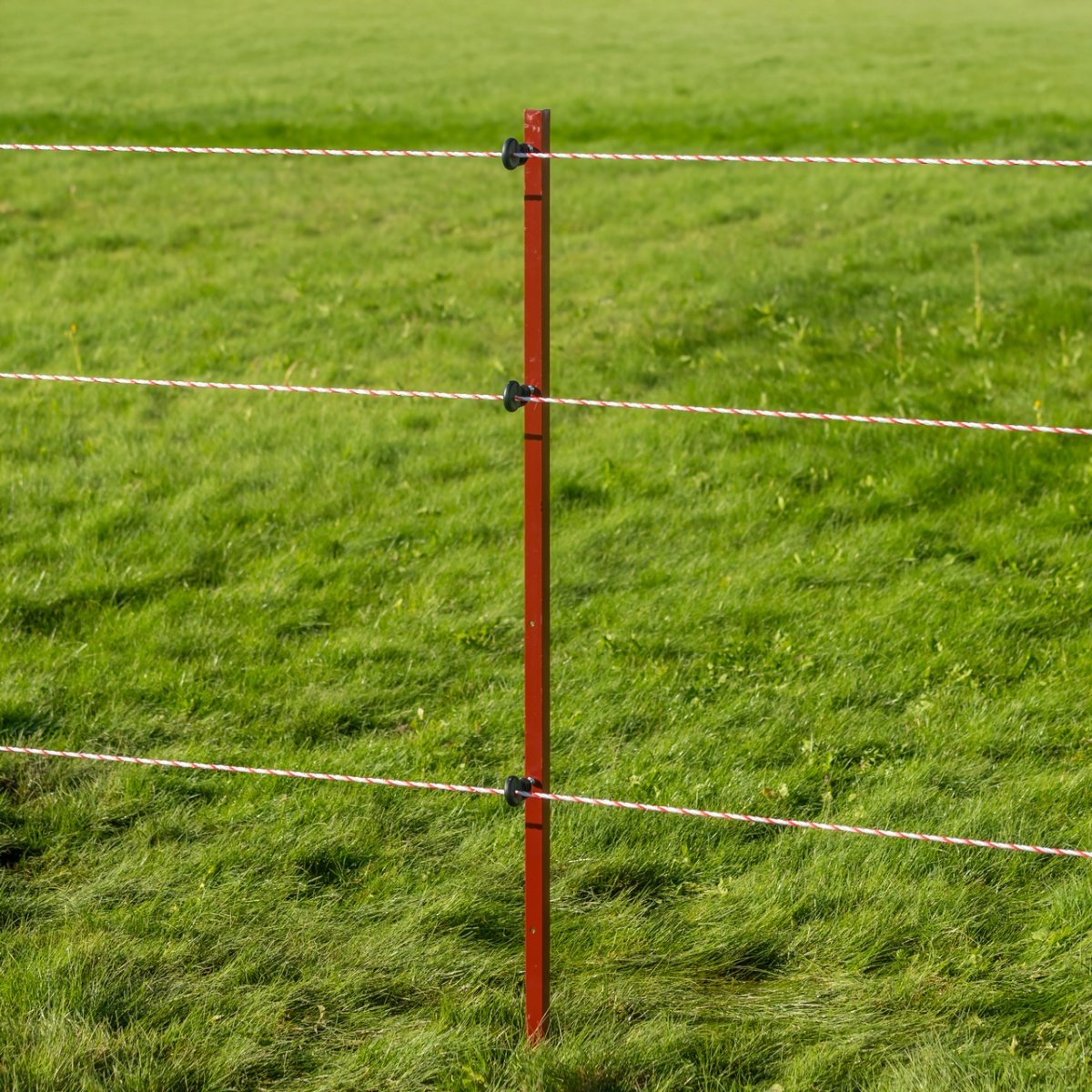 Stâlp din oțel cornier 25 × 25 mm, 150 cm, 10 buc.