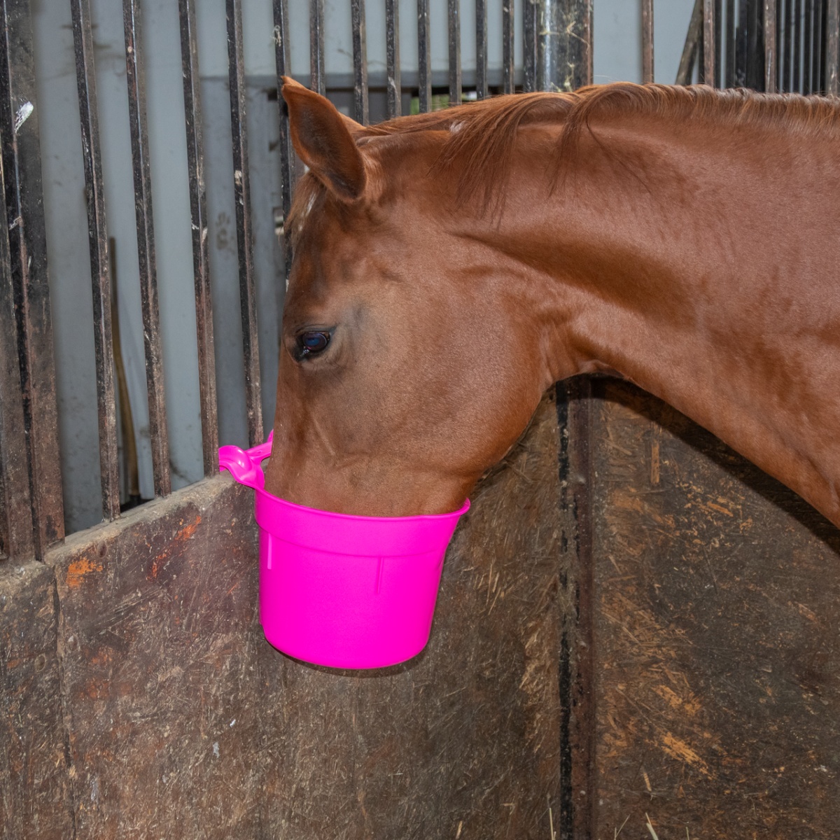 Găleată de hrănire, cu suport pentru suspendare, formă cilindrică, roz, 8 litri