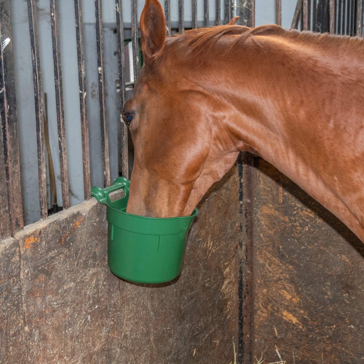 Găleată de hrănire, cu suport pentru suspendare, formă cilindrică, verde închis, 8 litri