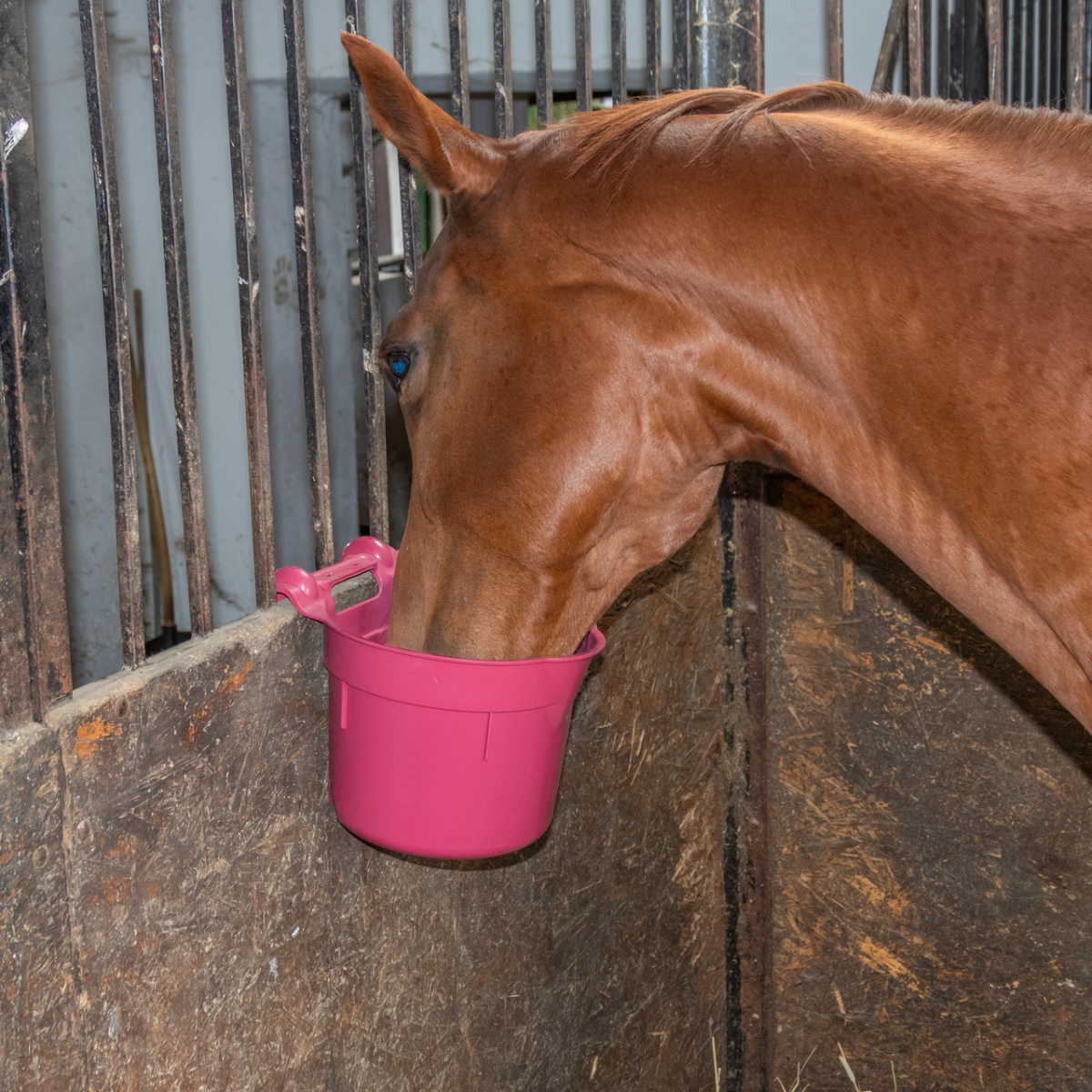 Găleată de hrănire, cu suport pentru suspendare, formă cilindrică, vișiniu, 8 litri