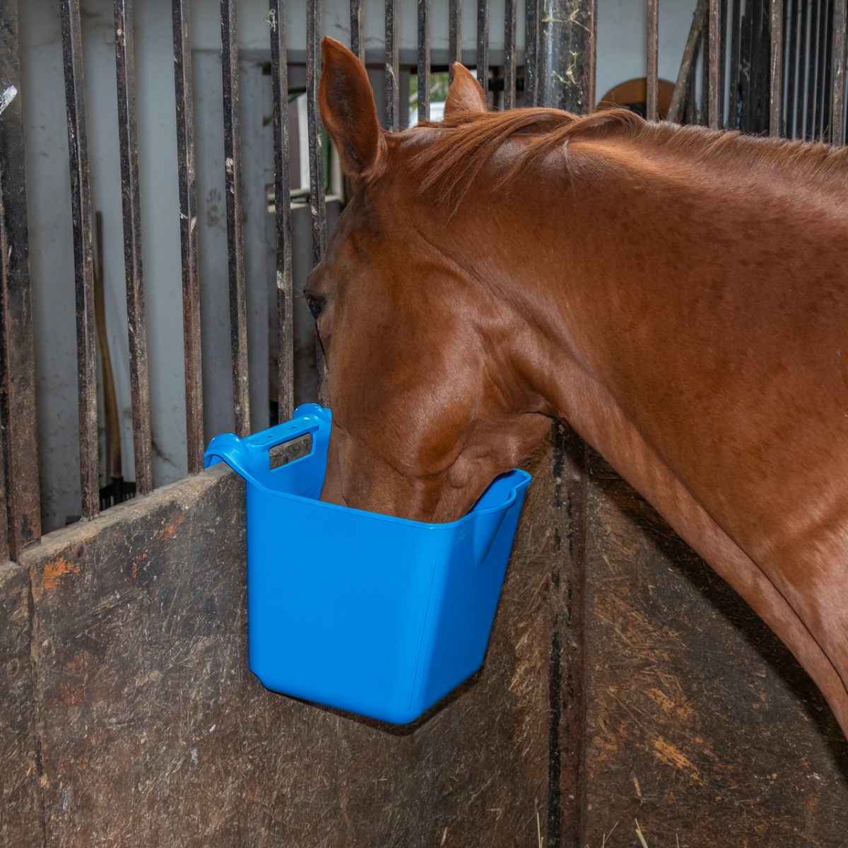 Găleată de hrănire, cu suport pentru suspendare, formă pătrată, albastru, 13 litri