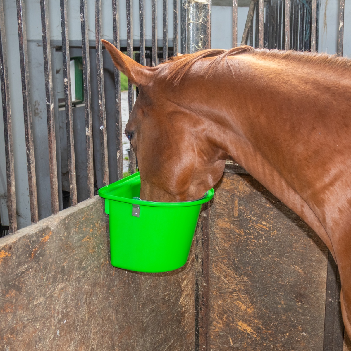 Găleată de hrănire pentru cabaline, cu dispozitiv de fixare și mâner, verde, 12 litri