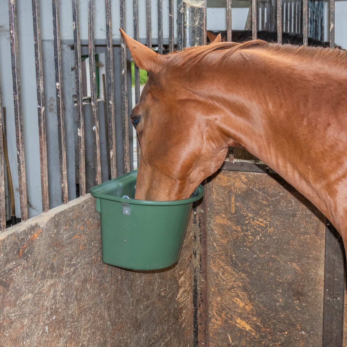 Găleată de hrănire pentru cabaline, cu dispozitiv de fixare și mâner, verde închis, 12 litri