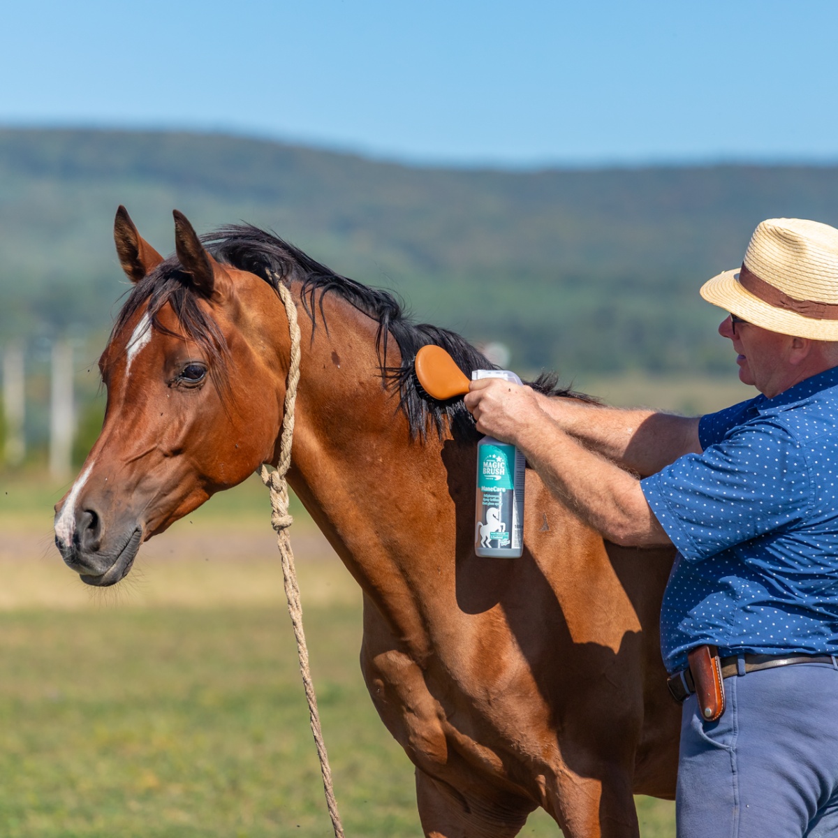 Spray pentru lustruirea părului, MagicBrush Manecare, 1000 ml