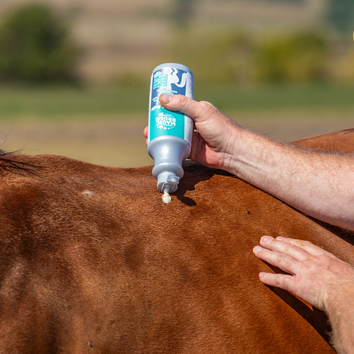 Balsam pentru cai, MagicBrush, 500 ml