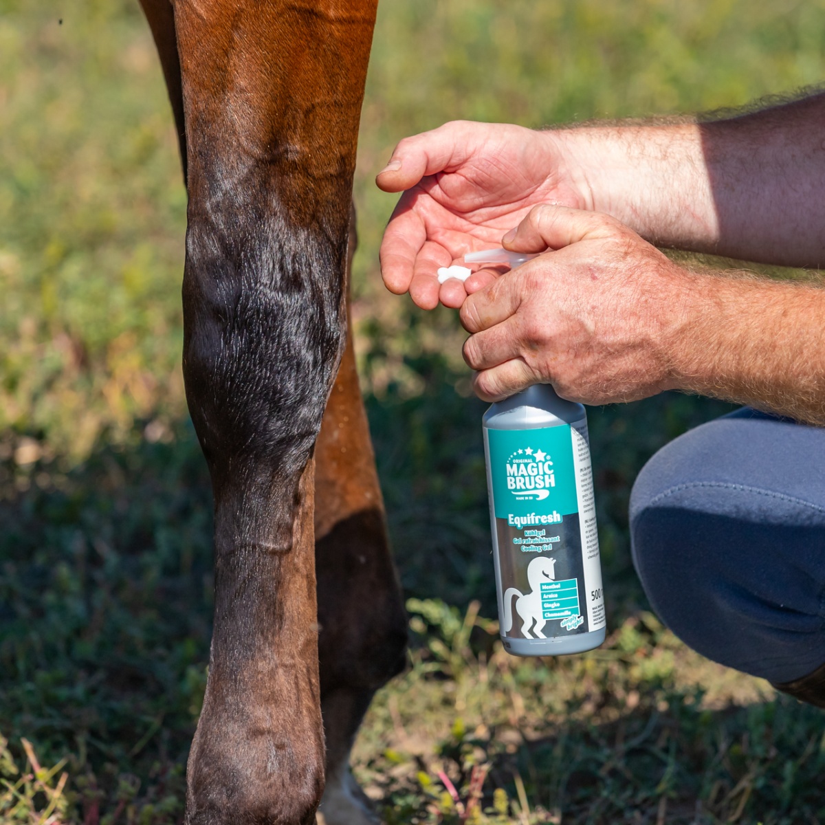 Balsam răcoritor pentru cai, MagicBrush, 500 ml