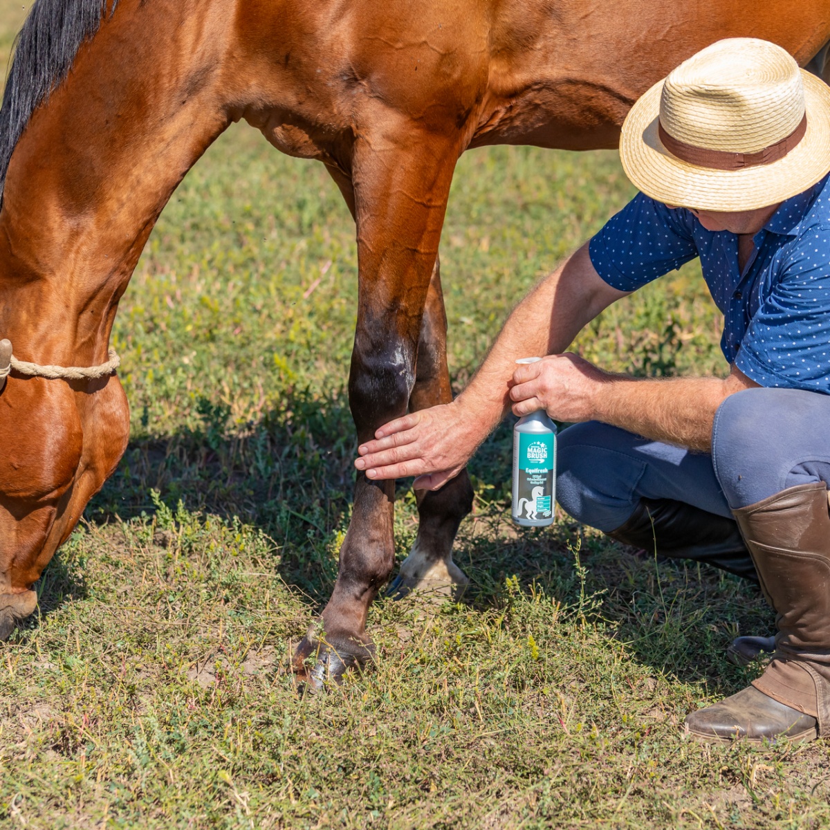 Balsam răcoritor pentru cai, MagicBrush, 500 ml