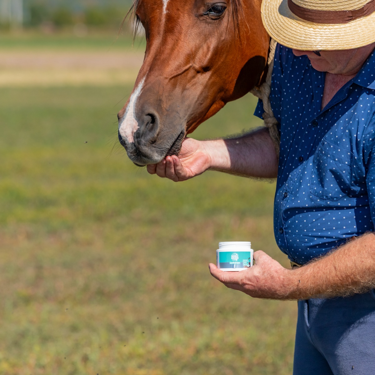 Balsam pentru buze de cai, MagicBrush, 150 ml