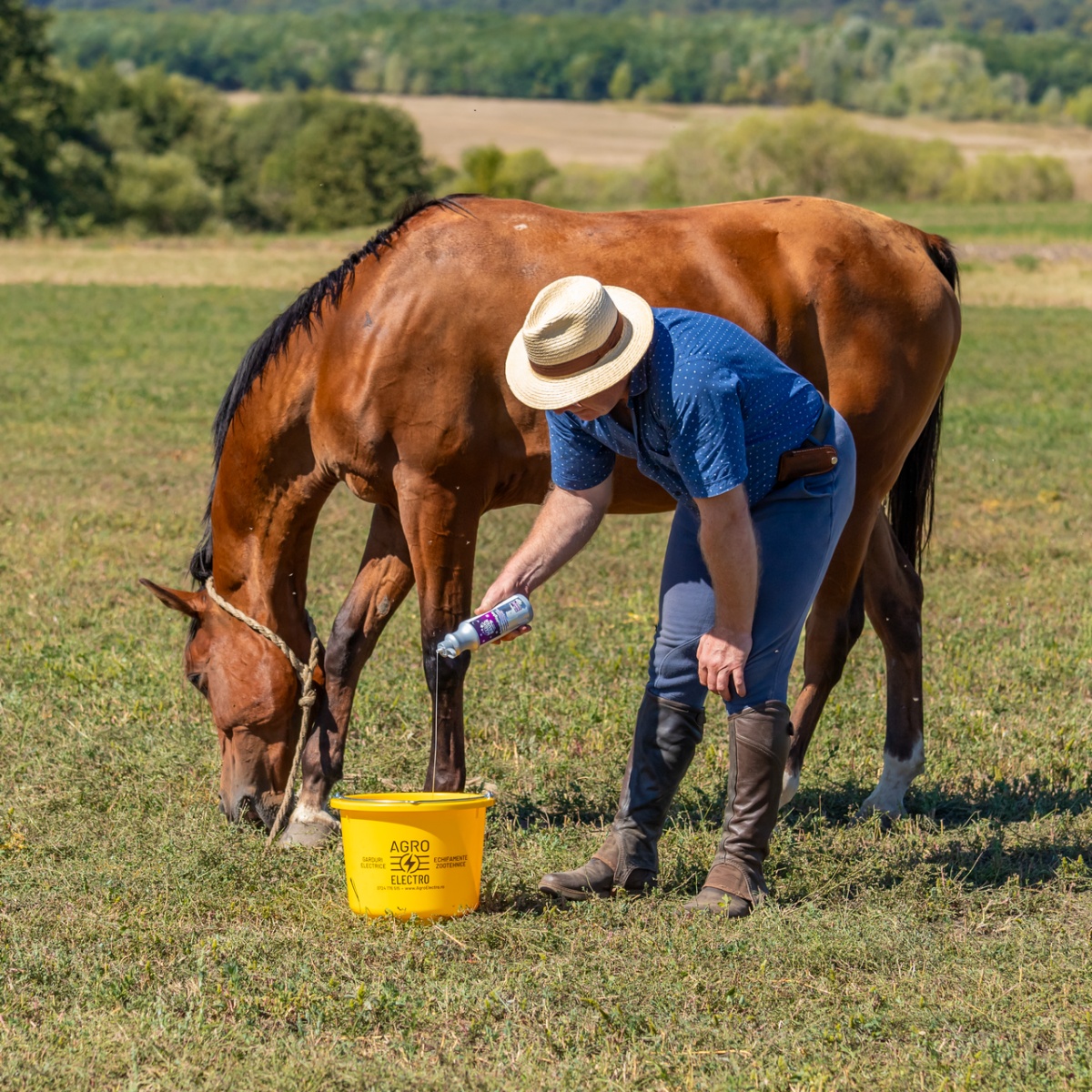 Șampon pentru cai, aromă OrientalNights, MagicBrush, 500 ml