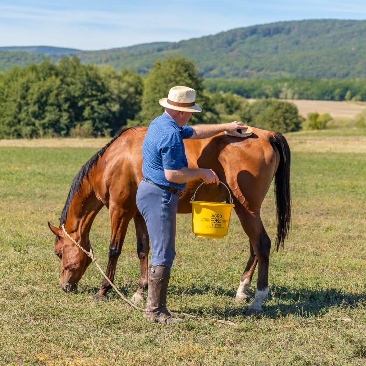 Șampon pentru cai, aromă FruitExplosion, MagicBrush, 500 ml