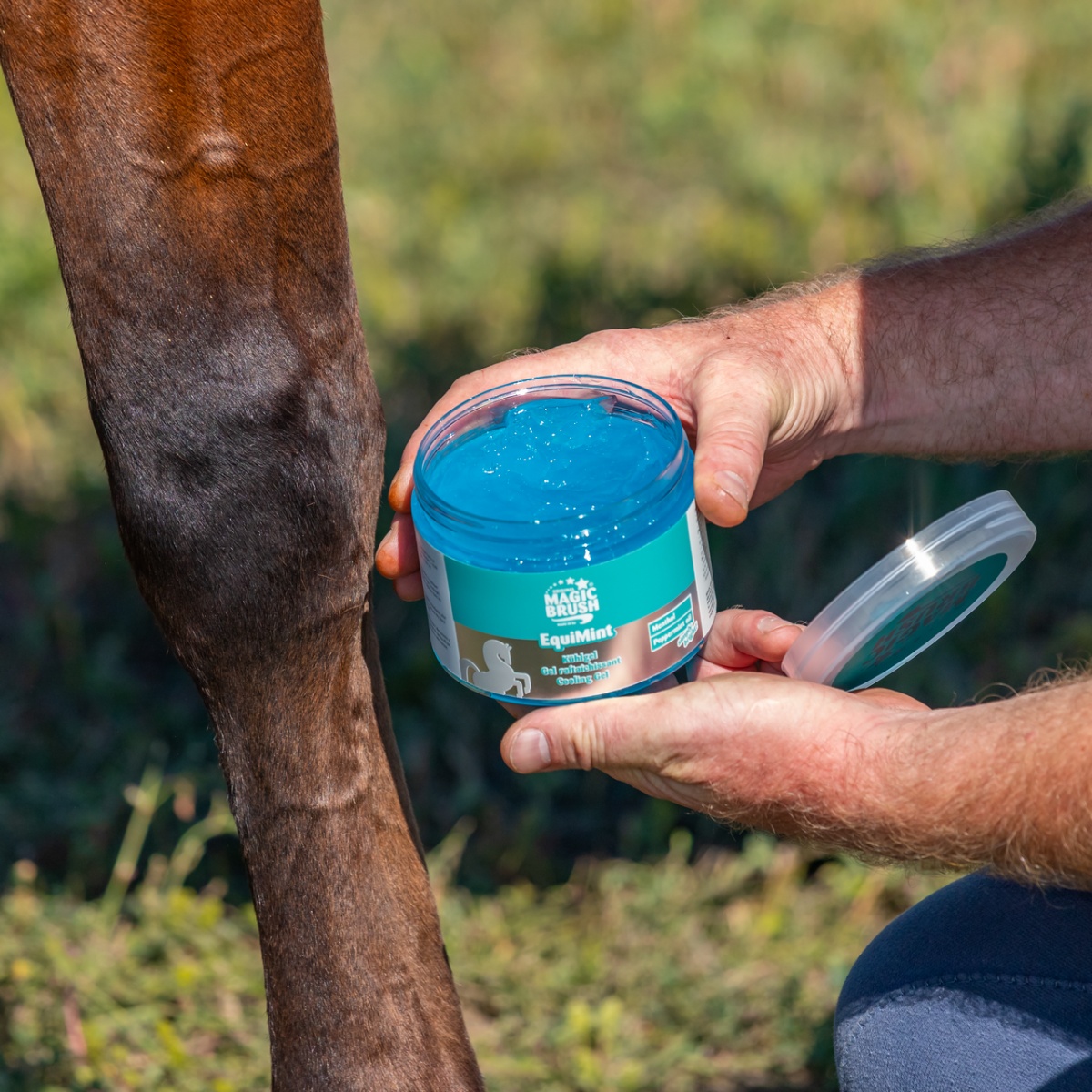 Gel pentru cai, MagicBrush Equimint, 500 ml