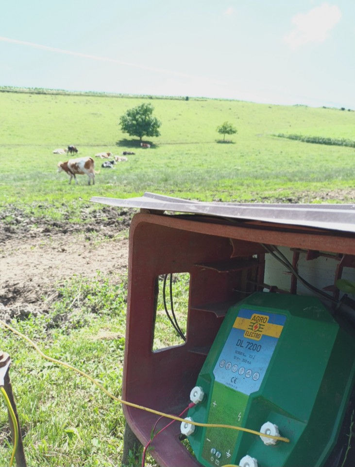 Recenzie produs - Aparat gard electric DL 7200, 12 V, 7,2 Joule - agroelectro.ro
