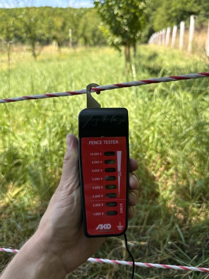 Recenzie produs - Tester 1-10 kV - agroelectro.ro