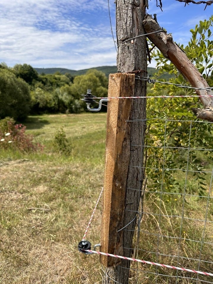 Recenzie produs - Izolator pentru colț, cu holțșurub - agroelectro.ro