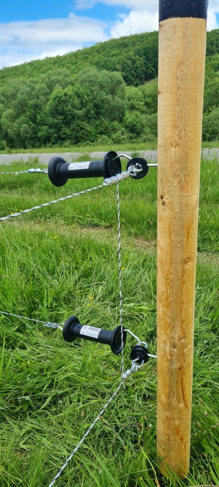 Recenzie produs - Izolator poartă, cu holțșurub - agroelectro.ro