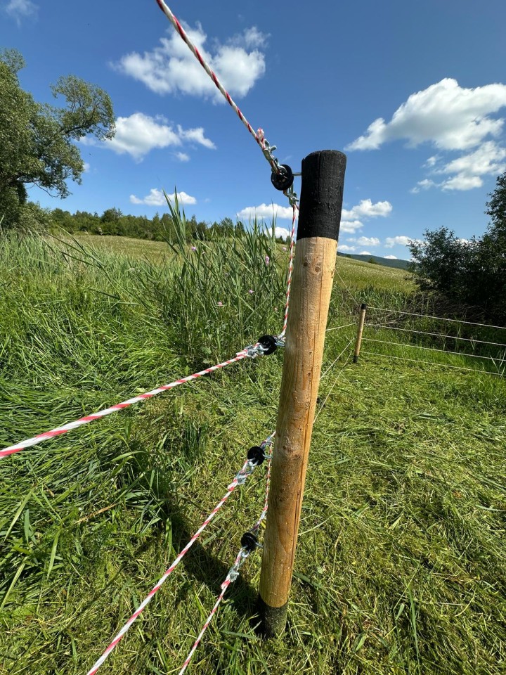 Recenzie produs - Izolator poartă, cu holțșurub - agroelectro.ro