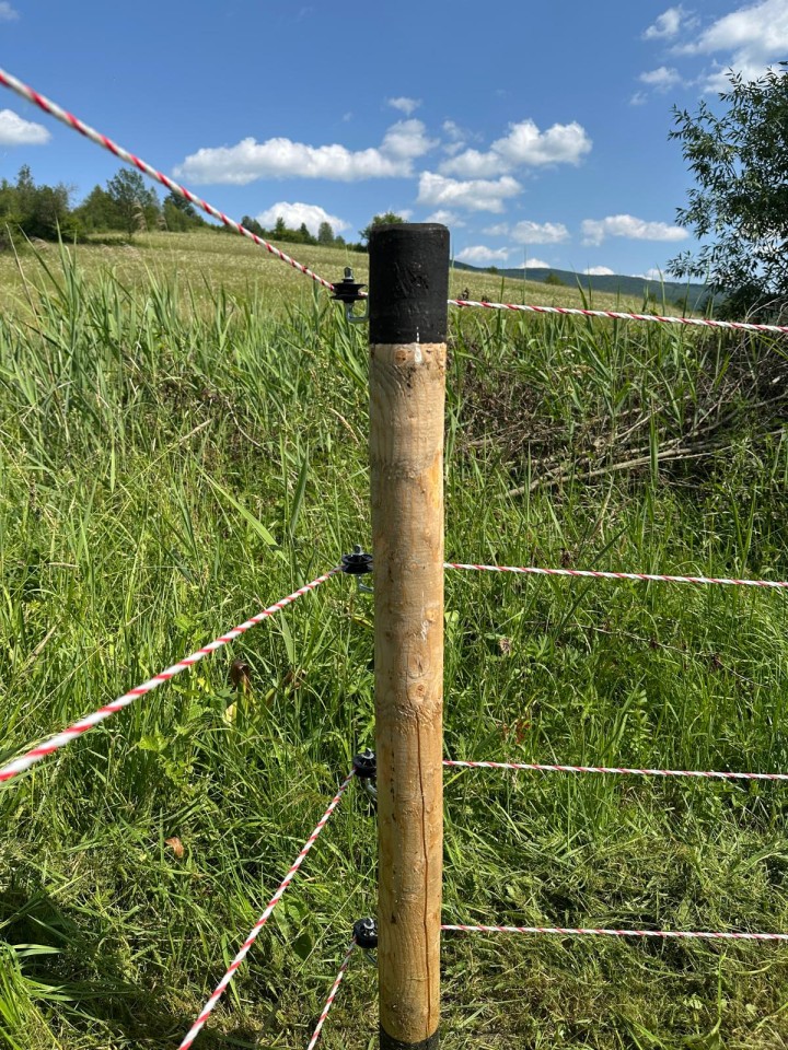 Recenzie produs - Izolator pentru colț, cu holțșurub - agroelectro.ro