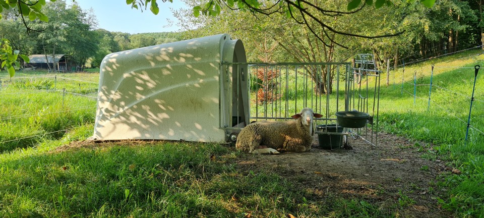 Recenzie produs - Iglu pentru viței Calf House Master Plus - agroelectro.ro