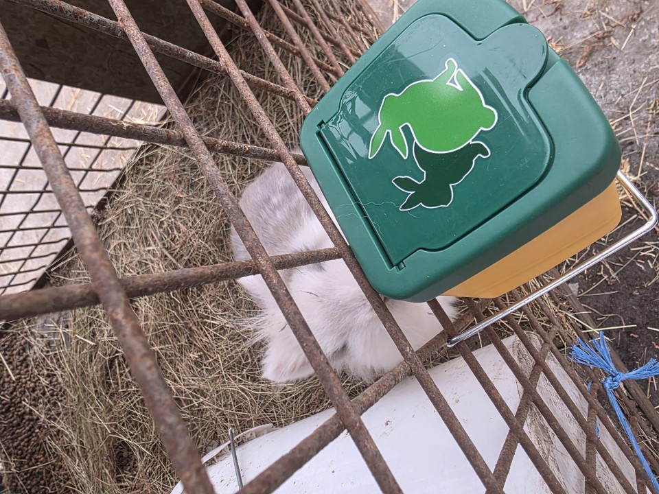 Recenzie produs - Adăpătoare pentru iepuri, 0,5 litri - agroelectro.ro