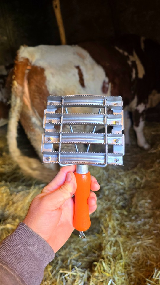 Recenzie produs - Țesală metalică cu pieptăn de coamă, 12 × 12,5 cm - agroelectro.ro