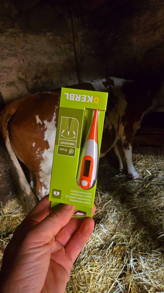 Recenzie produs - Termometru digital, impermeabil, cu vârf de măsurare flexibil - agroelectro.ro